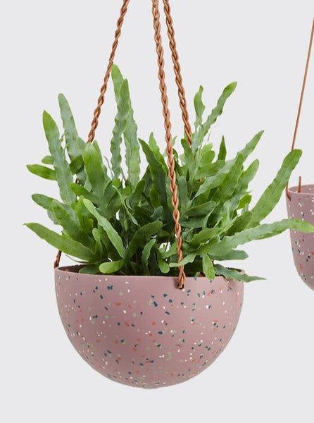 Hanging Planters Large | Terrazzo Musk