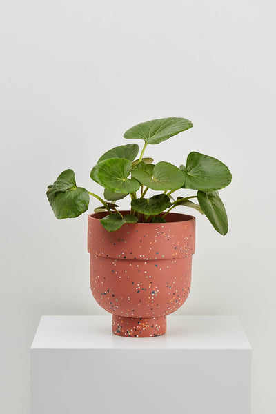 Funnel Planter - Dusty Rose Terrazzo