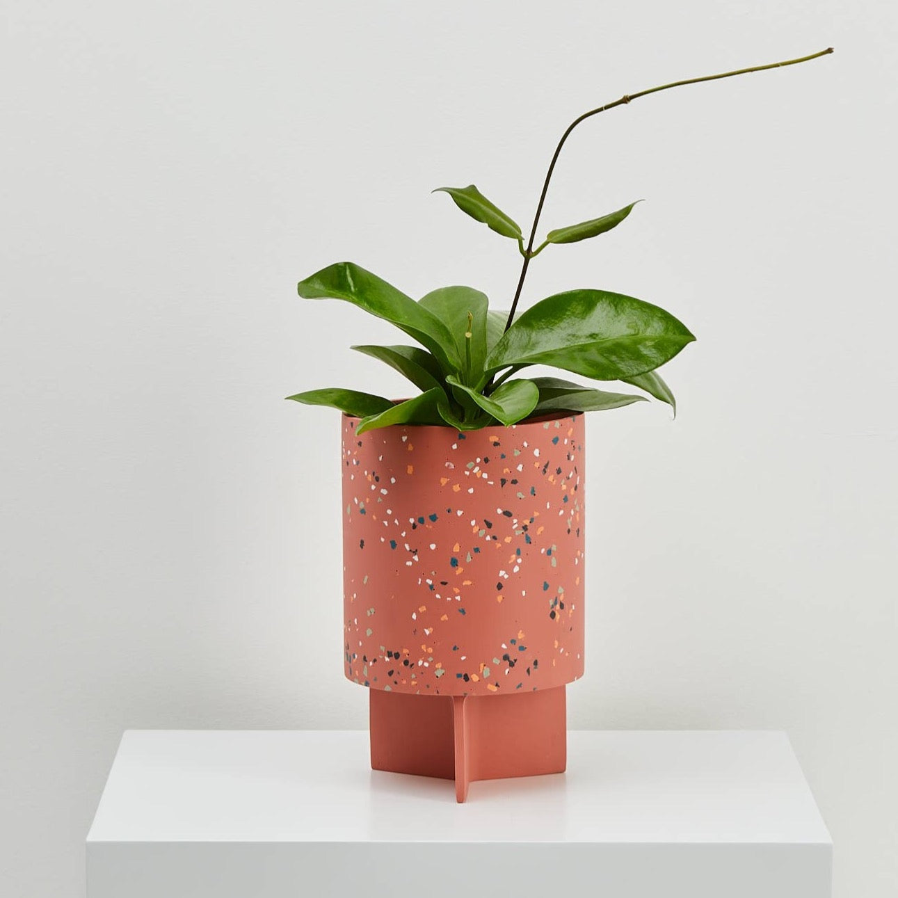 Dusty rose terrazzo planter with unique pedestal drainage tray.