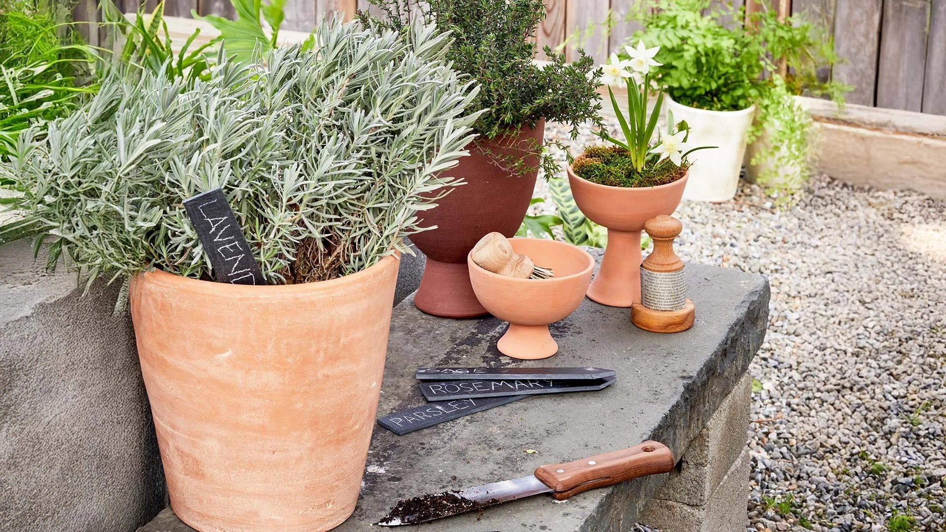 Ceramic Flower Pots & Garden Hand Tools 