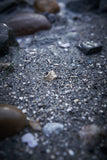 Coastal Ring | Gold with White Sapphire