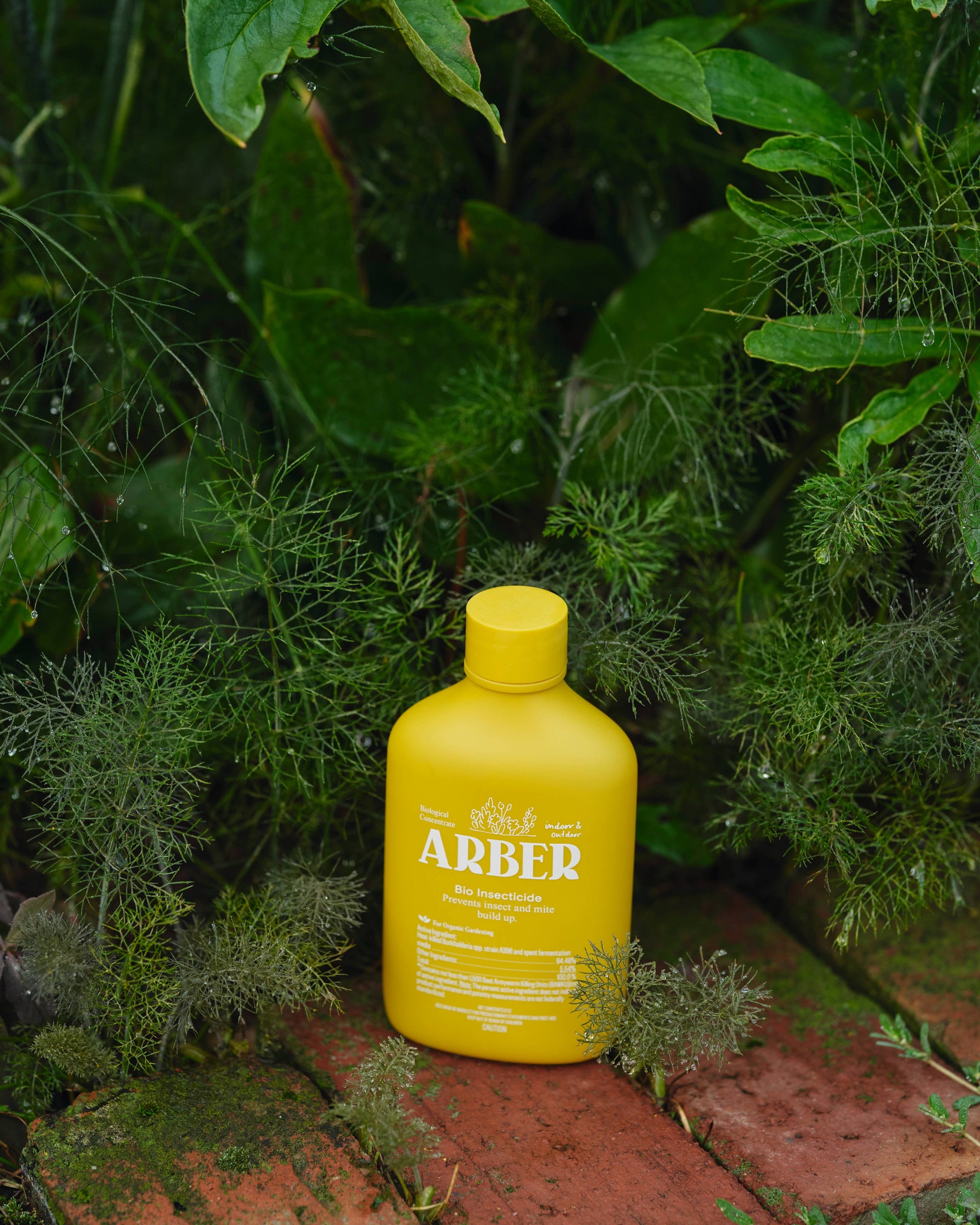 best organic insecticide for indoor plants Arber Bio Insecticide Concentrate