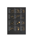 Seasonal Letterpress Posters