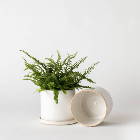 Minimal Ceramic Planter 4” | Stoneware