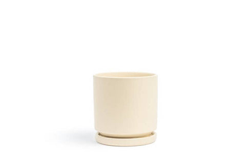 10.25" Gemstone Cylinder Pot with Water Saucer | Almond