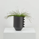 Modern black planter with shape accent and drainage tray.