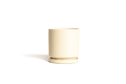 4.5" Gemstone Cylinder Pot with Water Saucer | Almond