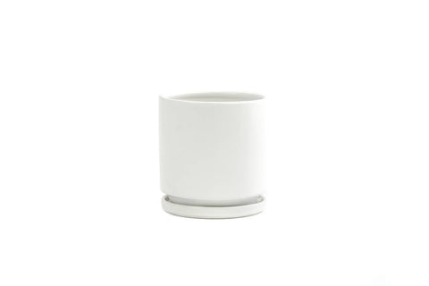 6.25" Gemstone Cylinder Pots with Water Saucers | White