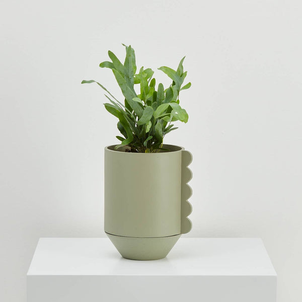 Modern shapes planter in green.