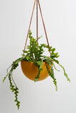 Hanging Planter Large | Golden Yellow
