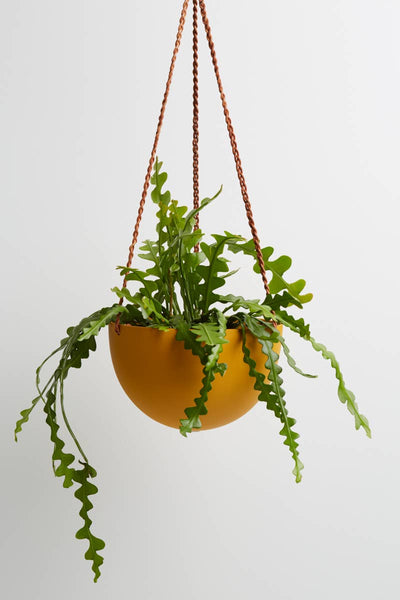Hanging Planter Large | Golden Yellow