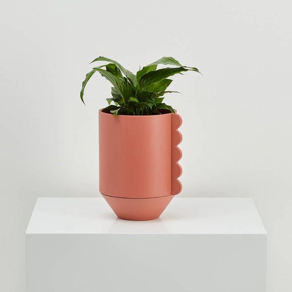 Frill Feature Planter - Dusty Rose
